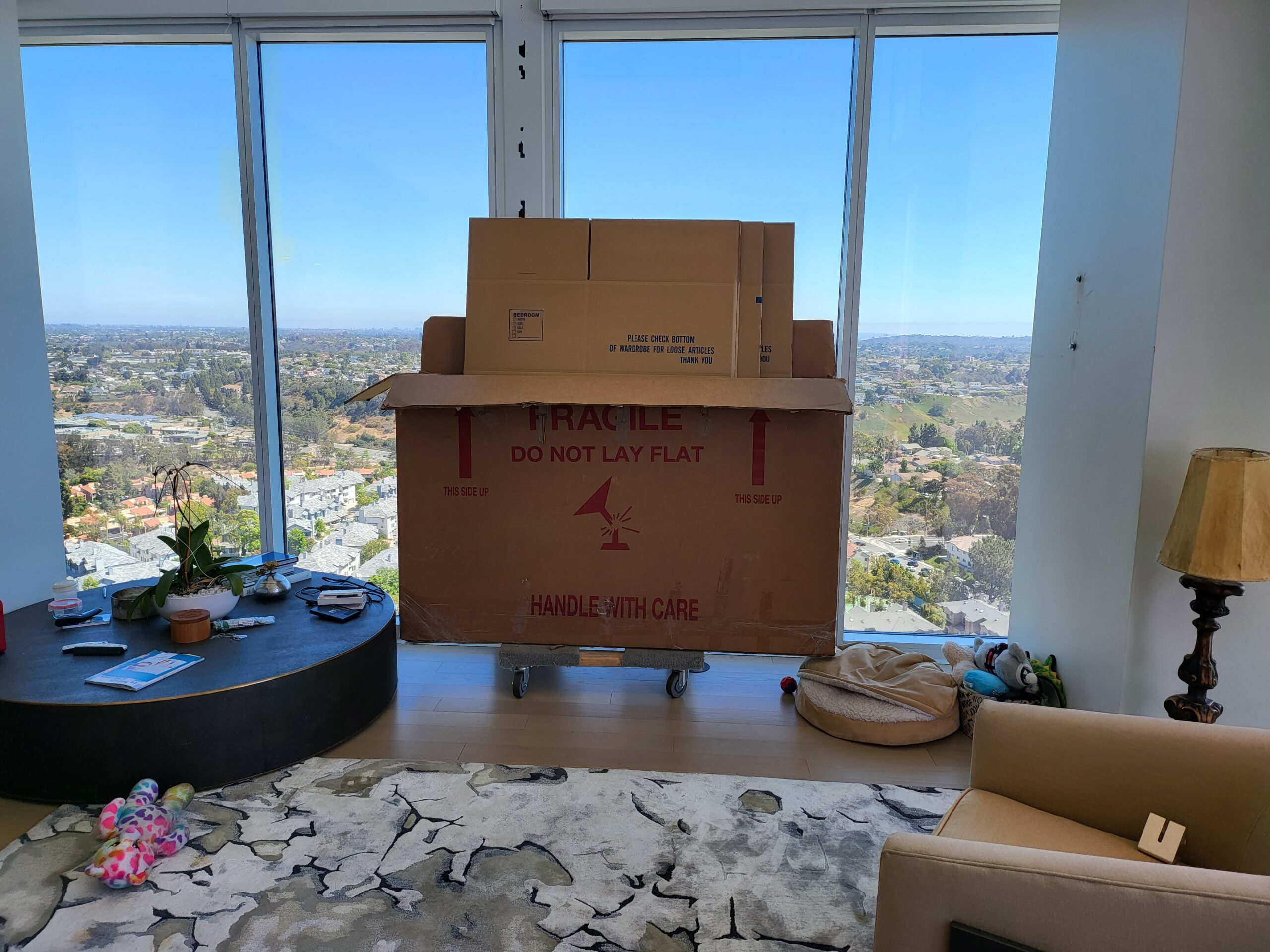 Local Movers in San Diego: Expert Tips for a Hassle-Free Move